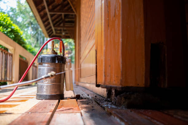 Best Termite Control Services  in White House, TN