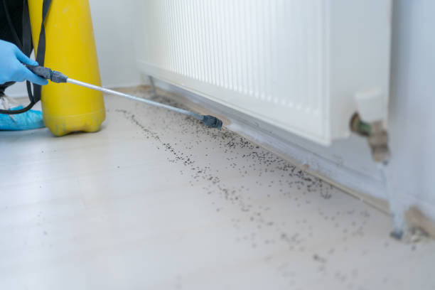 Best Pest Prevention Services  in White House, TN